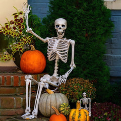 Lifelike Poseable Skeleton Prop - 5-foot Full Body Human Bones for Halloween Outdoor Graveyard Decor, Haunted House Scenes, and Spooky Party Accents