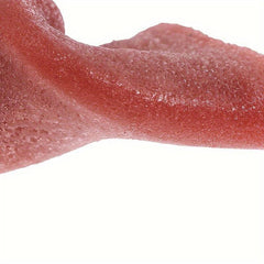 Realistic Simulated Tongue Prop - Stretchable Novelty Stage Accessory for Close-Up Magic and Professional Special Effects