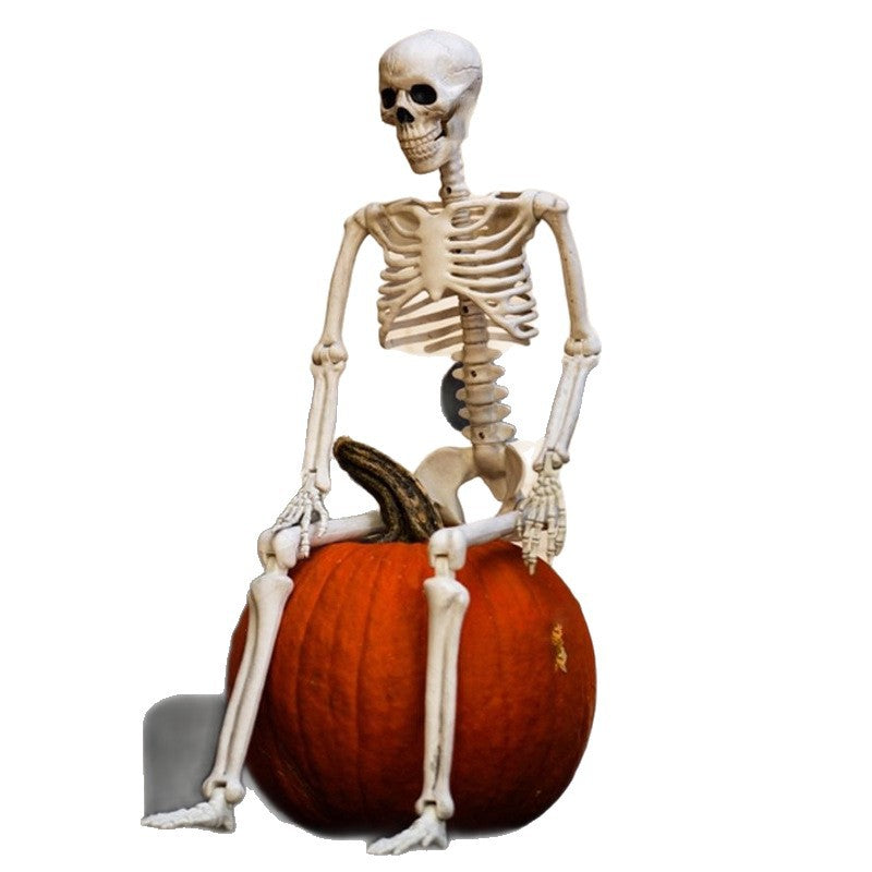 Lifelike Poseable Skeleton Prop - 5-foot Full Body Human Bones for Halloween Outdoor Graveyard Decor, Haunted House Scenes, and Spooky Party Accents