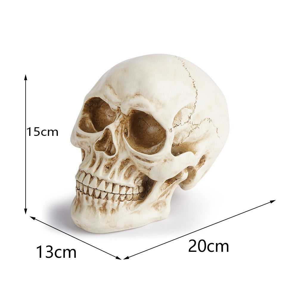Realistic Resin Replica Skull - Lifelike Human Cranium Prop for Halloween Decor, Gothic Home Accents, and Artistic Sketching