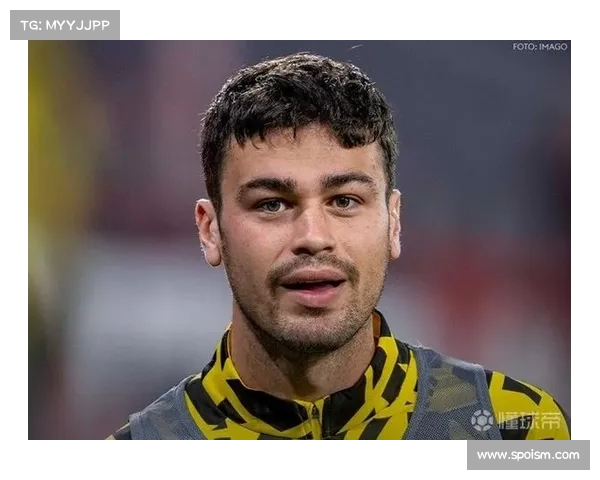 雷纳或以800万转会帕尔马 双方已就个人条款达成一致 雷纳或以800万转会帕尔马 双方已就个人条款达成一致