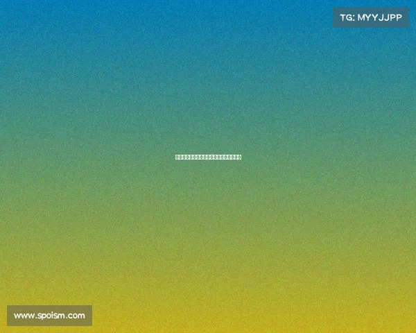 荷兰选手勇夺轮椅网球世锦赛冠军为国争光